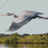 Heron Bird Flying Diamond Painting