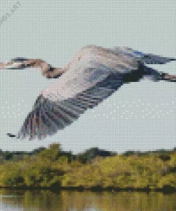 Heron Bird Flying Diamond Painting