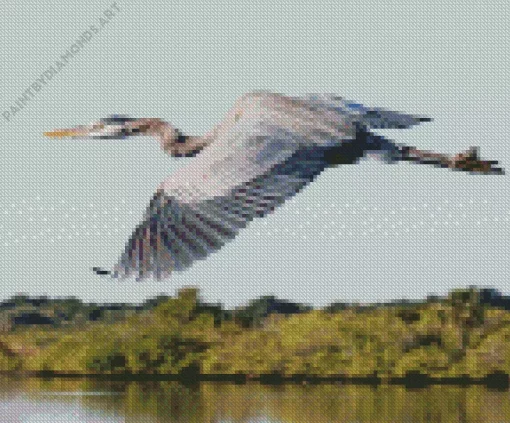 Heron Bird Flying Diamond Painting