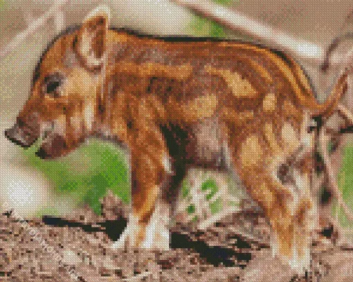 Hog Baby Animal Diamond Painting