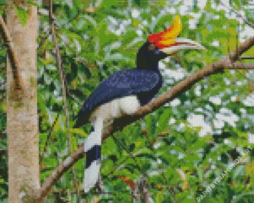 Hornbill Bird Diamond Painting