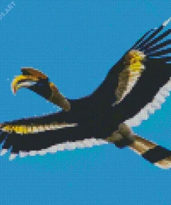 Hornbill Bird Flying Diamond Painting