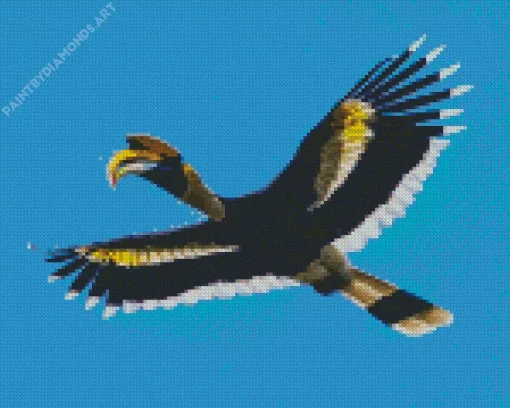 Hornbill Bird Flying Diamond Painting