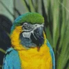 Blue And Gold Macaw Diamond Painting