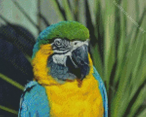 Blue And Gold Macaw Diamond Painting