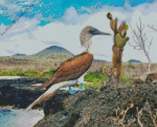 Blue Footed Booby Bird Diamond Painting