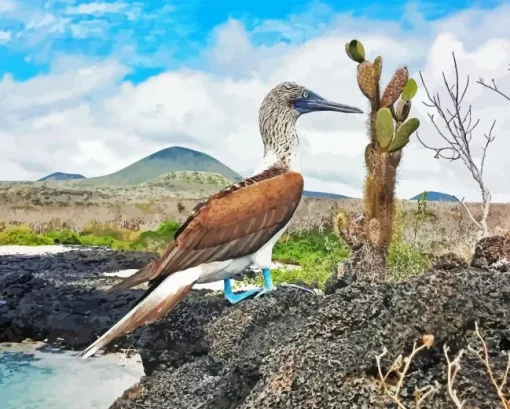 Blue Footed Booby Bird Diamond Painting