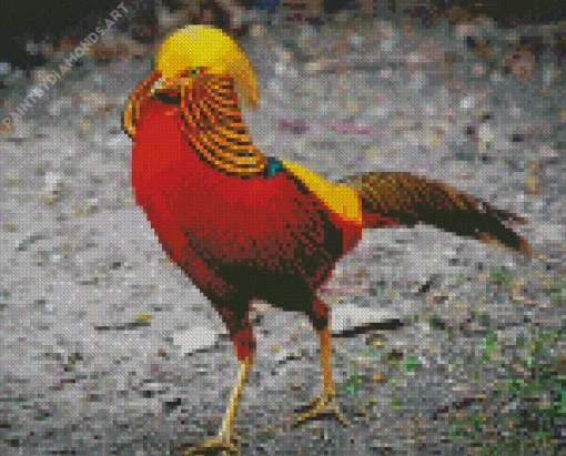 Golden Pheasant Diamond Painting