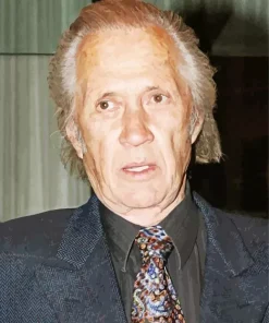 David Carradine Diamond Painting