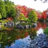 Kokoen Garden in Japan Diamond Painting