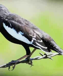 Lark Bunting Bird Diamond Painting