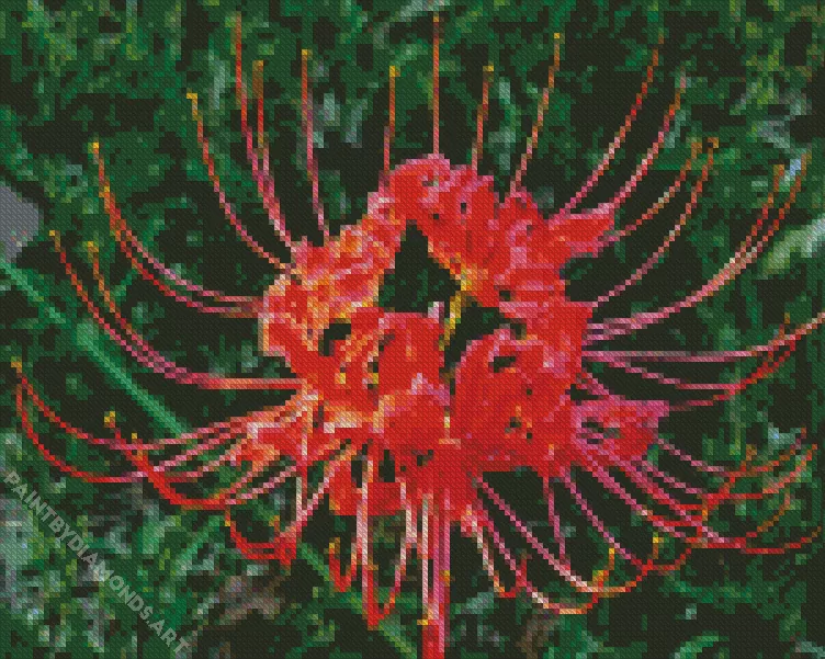 Red spider lily Diamond By Numbers Red Spider Lily Diamond Painting