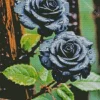 Black Roses Diamond Painting