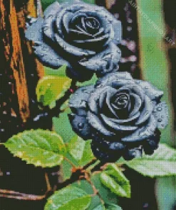 Black Roses Diamond Painting