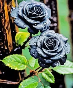 Black Roses Diamond Painting