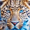 Blue Eyes Leopard Diamond Painting