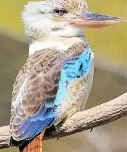 Blue Winged Kookaburra Bird Diamond Painting