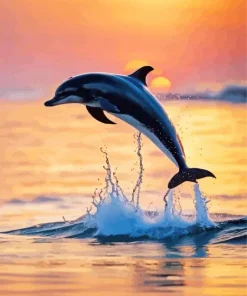 Bottlenose Dolphin Sunset Silhouette Diamond Painting