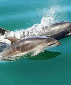 Bottlenose Dolphins Diamond Painting