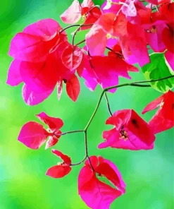 Bougainvillea Branch Diamond Painting
