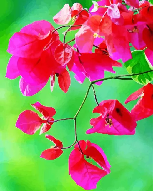 bougainvillea branch Diamond Dotz Bougainvillea Branch Diamond Painting