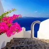 Bougainvillea Santorini Diamond Painting