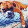 Boxer Dog Sitting On Couch Art Diamond Painting