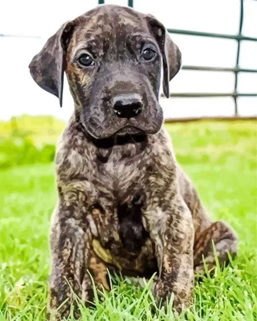 brindle dane puppy Diamond Paints Brindle Dane Puppy Diamond Painting