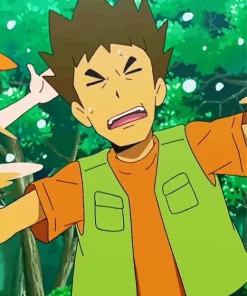 Brock Pokemon Diamond Painting
