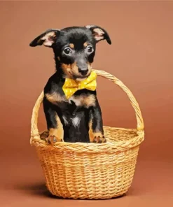 Brown And Black Chiweenie Dog Diamond Painting