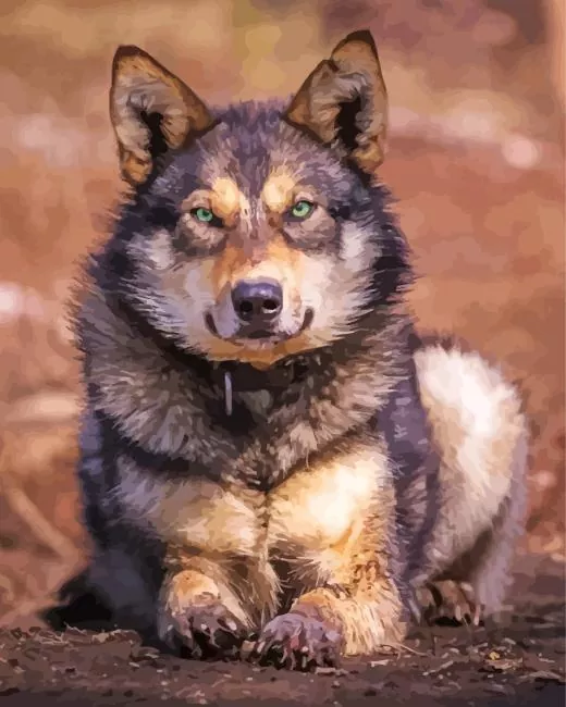 brown and black wolf Diamond With Numbers Brown And Black Wolf Diamond Painting
