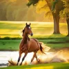 Brown Arabian Horse Diamond Painting