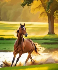 Brown Arabian Horse Diamond Painting