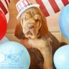 Brown Bloodhound Puppy Diamond Painting
