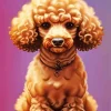 Brown Curly Poodle Dog Diamond Painting