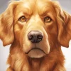 Brown Dog Face Diamond Painting