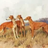 Brown Greyhound Dogs Diamond Painting