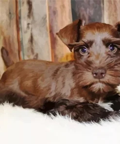 Brown Mini Schnauzer Diamond Painting