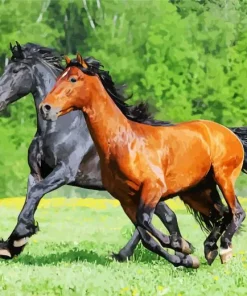 Brown With Black Horses Diamond Painting