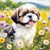 Cool Fluffy Shih Tzu Art Diamond Painting