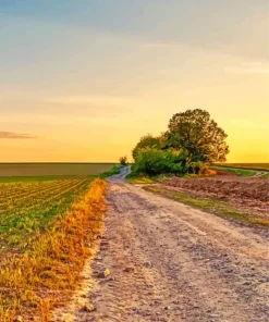 Dirt Road Diamond Painting