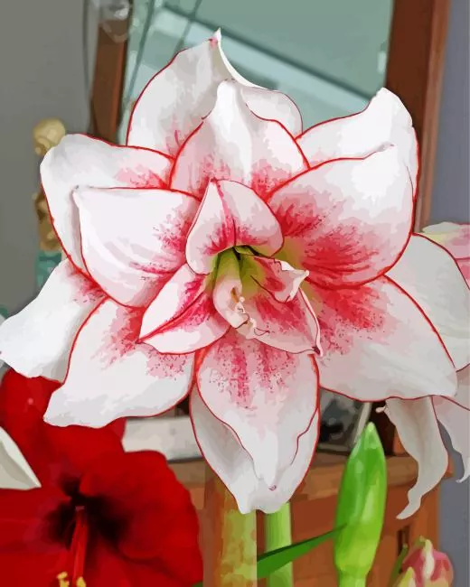 elvas amaryllis art Diamond By Numbers Elvas Amaryllis Art Diamond Painting