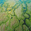 Everglades National Park Diamond Painting