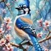 Florida Blue Jay Art Diamond Painting