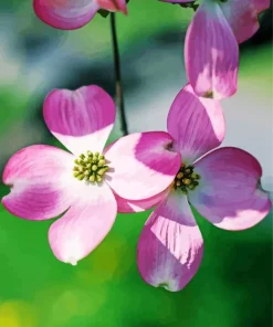 Flowering Dogwood Diamond Painting