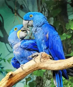 Hyacinth Macaw Birds Diamond Painting