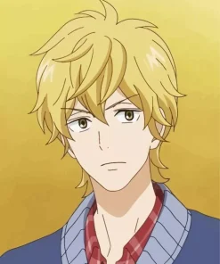 Kento Miura Kimi Ni Todoke Diamond Painting