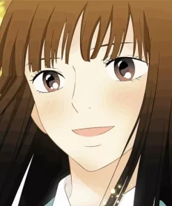 Kimi ni Todoke Diamond Painting