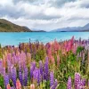 Lake Tekapo New Zealand Diamond Painting
