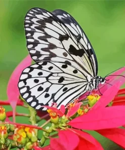 Large Tree Nymph Diamond Painting